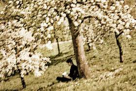 petrin 2jat